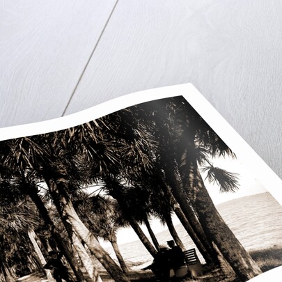 The walk at Rockledge, Indian River, Jackson, Hotels, Trails & paths, Waterfronts, Bays, United States, Florida, Indian River, 1880 by William Henry