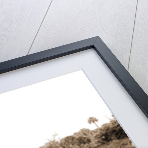 Sebastian Creek, Jackson, Streams, Boats, Bays, United States, Florida, Indian River, United States, Florida, Saint Sebastian, 1880 by William Henry