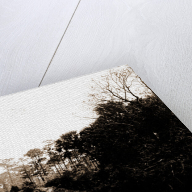 Sebastian Creek, Jackson, Steamboats, Streams, United States, Florida, Indian River, 1880 by William Henry