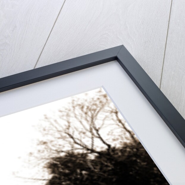 Sebastian Creek, Jackson, Steamboats, Streams, United States, Florida, Indian River, 1880 by William Henry