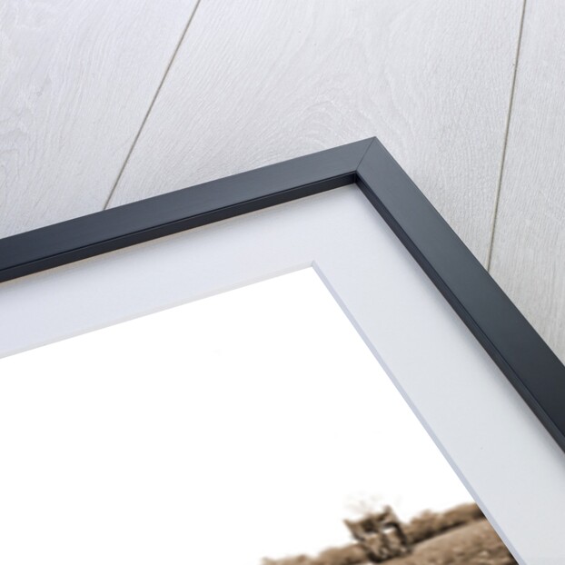 Pineapples at Eden, Jackson, Pineapples, Windmills, Bays, United States, Florida, Indian River, United States, Florida, Eden, 1880 by William Henry