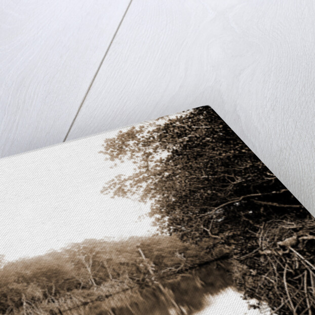 Jupiter Narrows, Jackson, Bays, United States, Florida, Jupiter Narrows, 1880 by William Henry