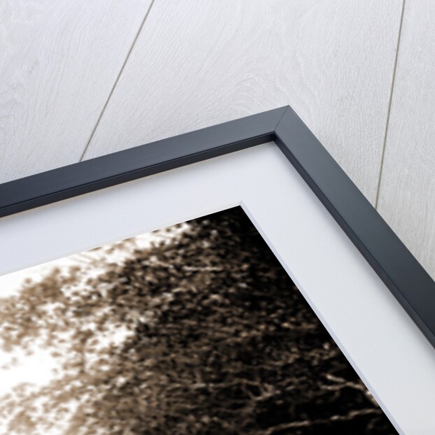 Jupiter Narrows, Jackson, Bays, United States, Florida, Jupiter Narrows, 1880 by William Henry