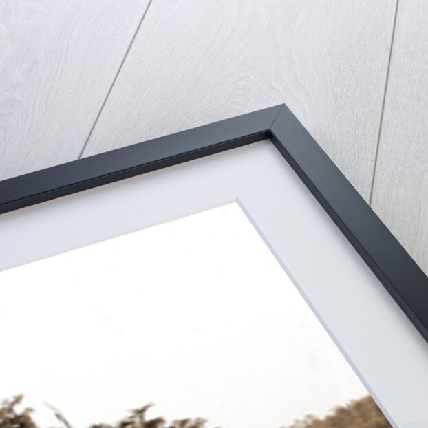 Lake Louise near Seville, Fla, Jackson, Islands, Lakes & ponds, United States, Florida, Louise, Lake, United States, Florida, Seville, 1880 by William Henry