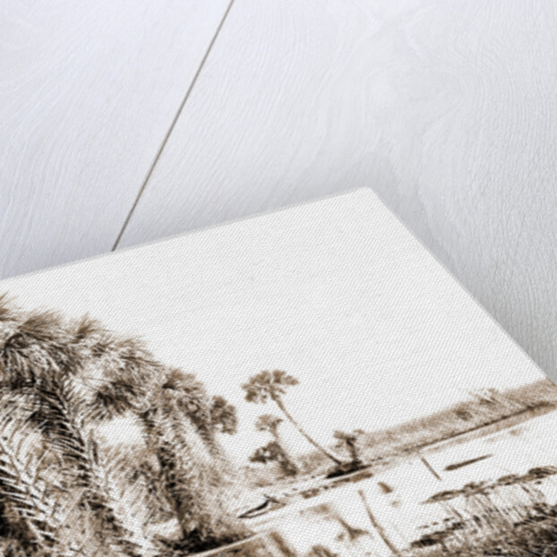 Shore line along Lake George, Fla, Jackson, Palms, Lakes & ponds, United States, Florida, 1880 by William Henry