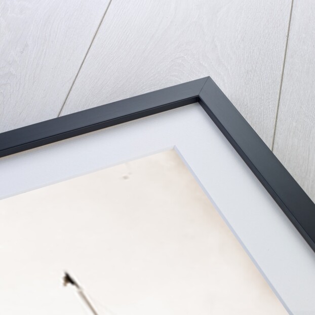 John Brooks (Side wheeler), 1890 by Anonymous