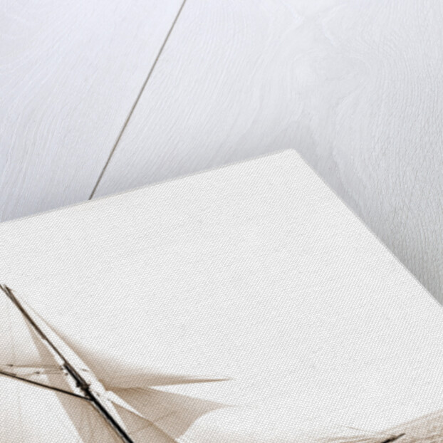 Gossoon, July 10, 1890, Gossoon (Sloop), 1890 by Anonymous