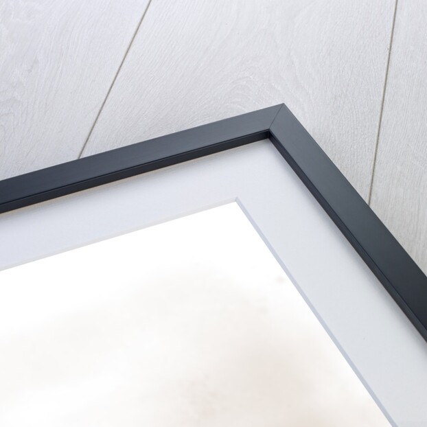 Columbia (Schooner), 1890 by Anonymous