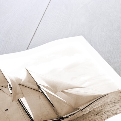 Mayflower (Schooner), 1891 by Anonymous