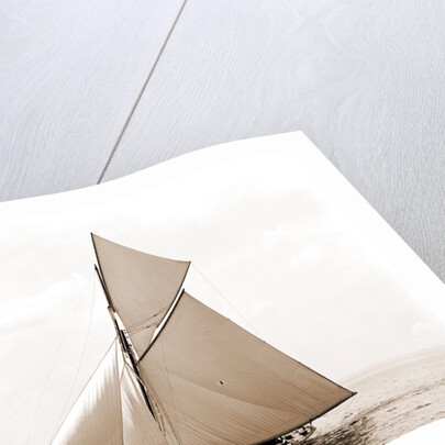 Beatrix, Harpoon (Yacht) by Anonymous