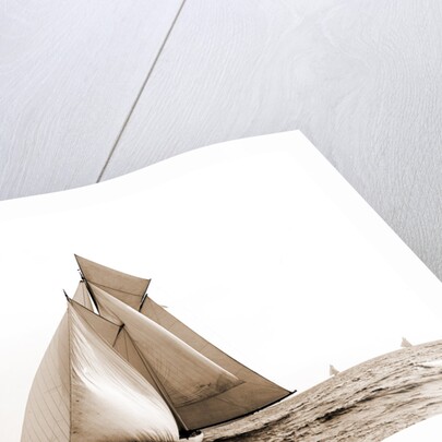 Marguerite, Goelet Cup Race, Marguerite (Schooner), 1891 by Anonymous
