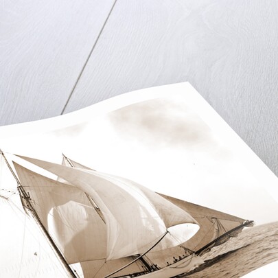 Mayflower, Goelet Cup Race, Mayflower (Schooner), 1891 by Anonymous
