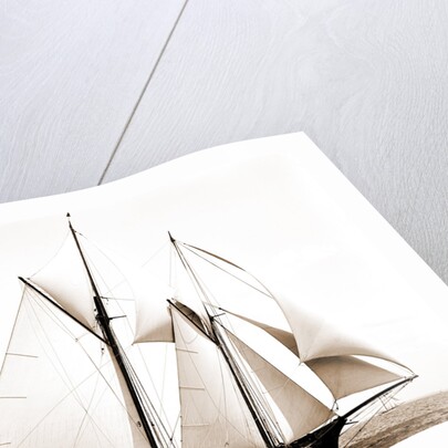 Constellation (Schooner), 1891 by Anonymous