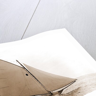 Tadpole (Yacht) by Anonymous