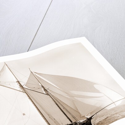 Fortuna (Schooner), 1892 by Anonymous