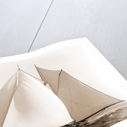 Constellation (Schooner), 1892 by Anonymous