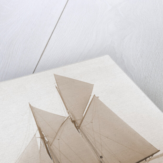 Alcaea (Schooner), 1892 by Anonymous