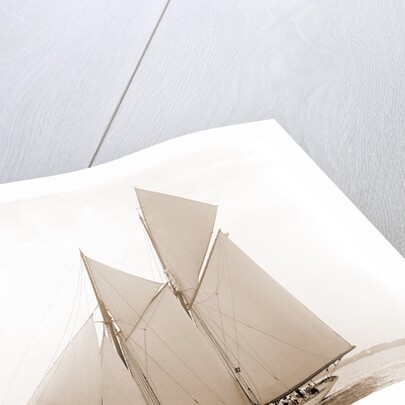 Alcaea (Schooner), 1892 by Anonymous