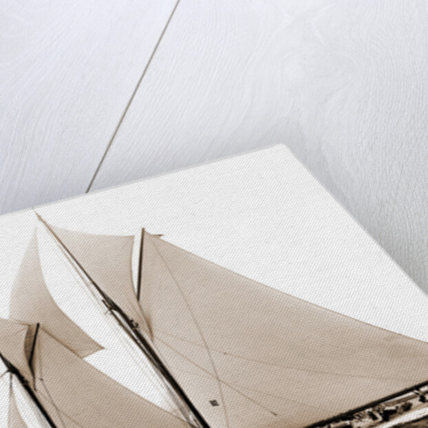 Alcaea (Schooner), 1892 by Anonymous