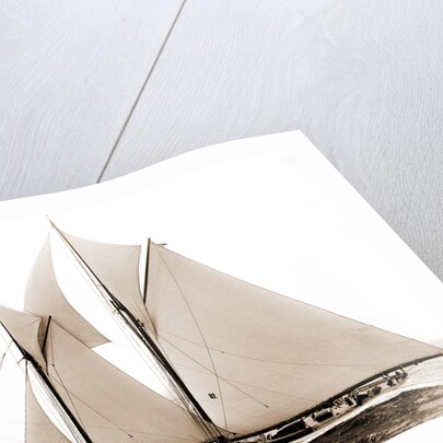 Alcaea (Schooner), 1892 by Anonymous