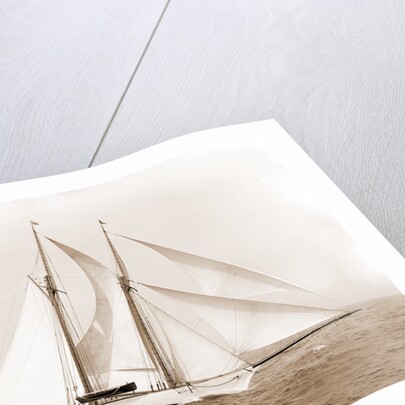 Oenone (Schooner), 1892 by Anonymous