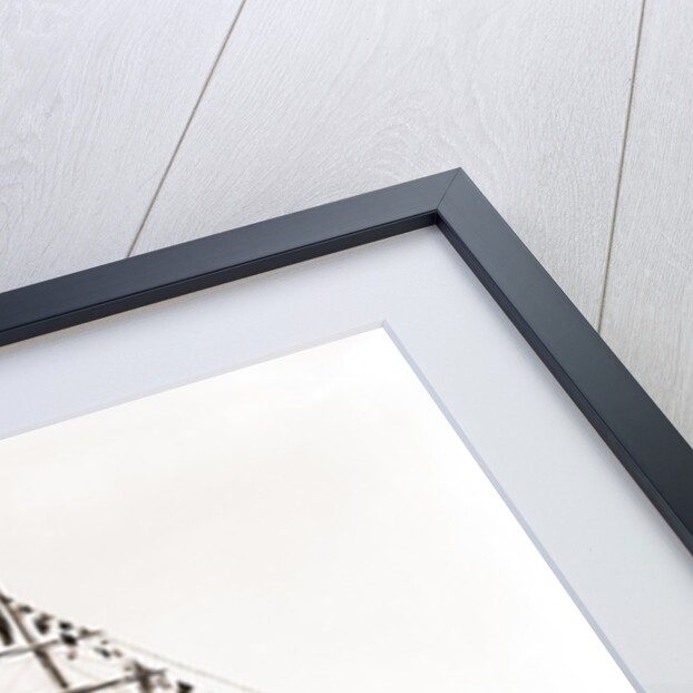 Sultana (Steam yacht), 1892 by Anonymous