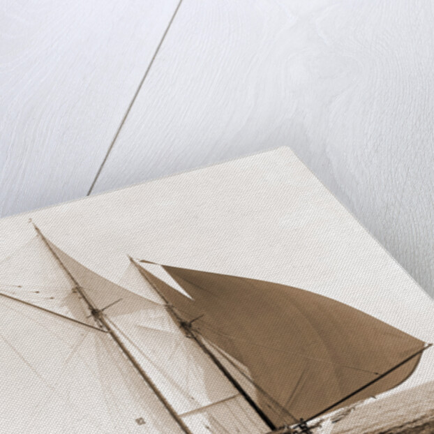Alcaea (Schooner), 1892 by Anonymous