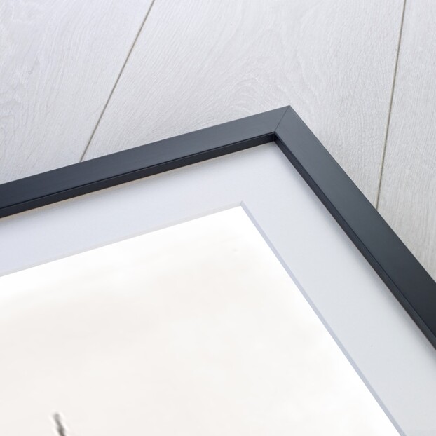 Wreck of Alba, Aug. 8, 1892, Alba (Yacht) by Anonymous