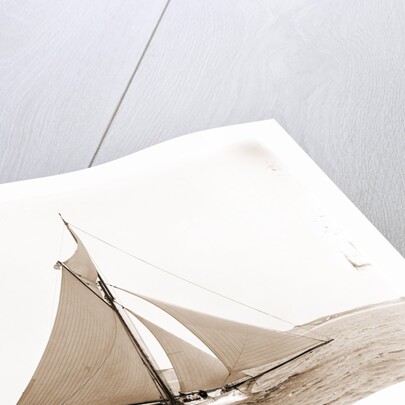 Babboon (Yacht) by Anonymous