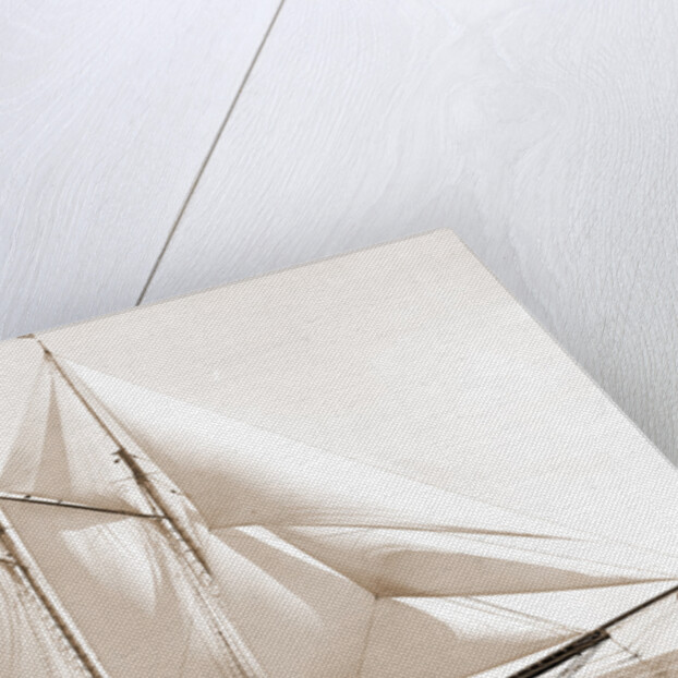 Foam (Schooner), 1880 by Anonymous