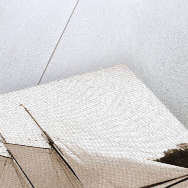 Ariel (Schooner), 1893 by Anonymous