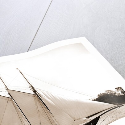 Ariel (Schooner), 1893 by Anonymous