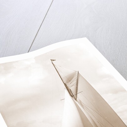 Shamrock I (Yacht) by Anonymous