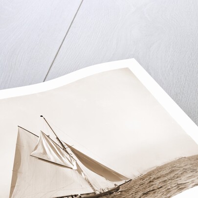 Shamrock I, setting top sail by Anonymous