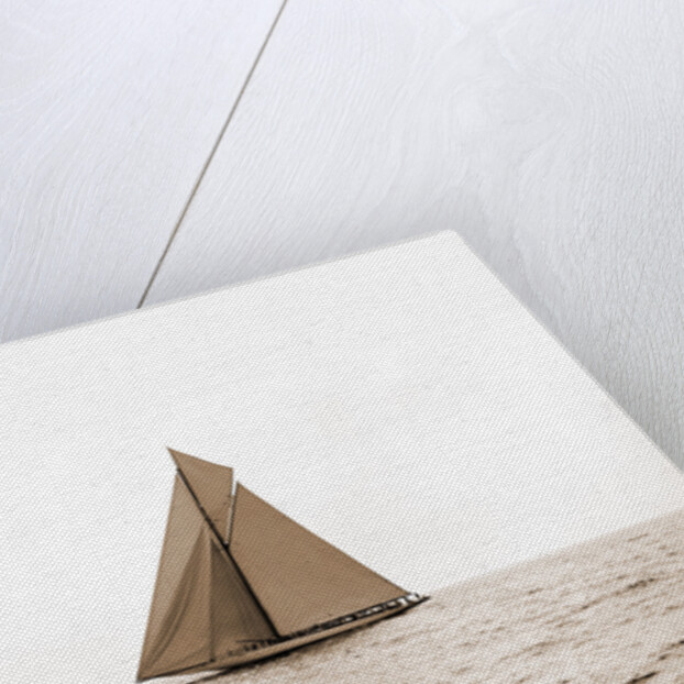 Columbia and Shamrock I on the line, Columbia (Sloop), Shamrock I (Yacht) by Anonymous
