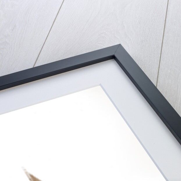 Barkentine Ethyl by Anonymous