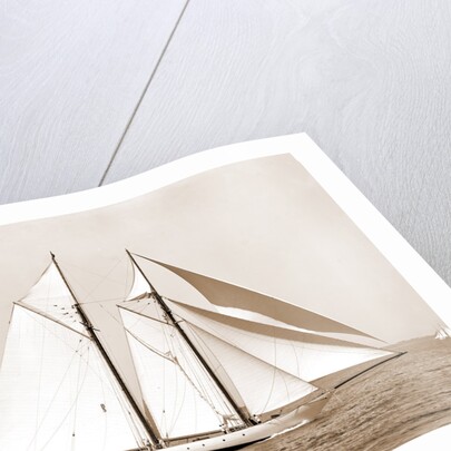 Corona, flagship of Commodore Ledyard, Corona (Schooner), 1900 by Anonymous