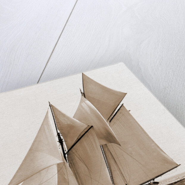 Mayflower (Schooner), 1891 by Anonymous