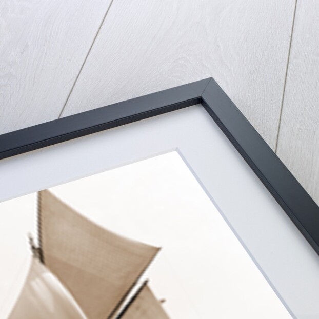 Mayflower (Schooner), 1891 by Anonymous