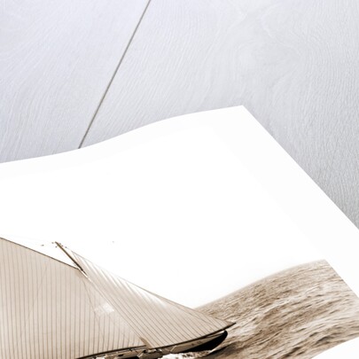 El Chico (Yacht) by Anonymous