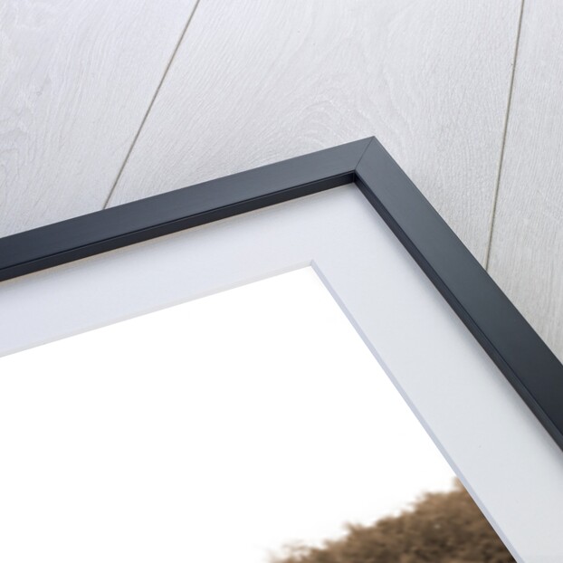 Hogsback, Lake Orion by Anonymous