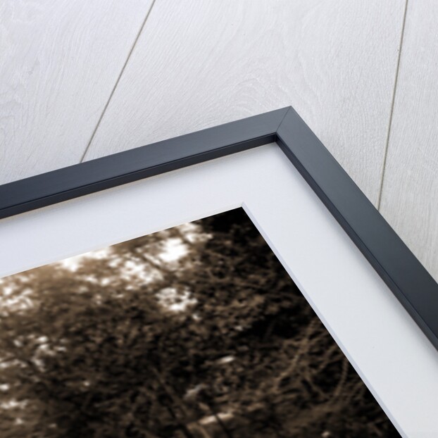 Lake Orion, Mich by Anonymous