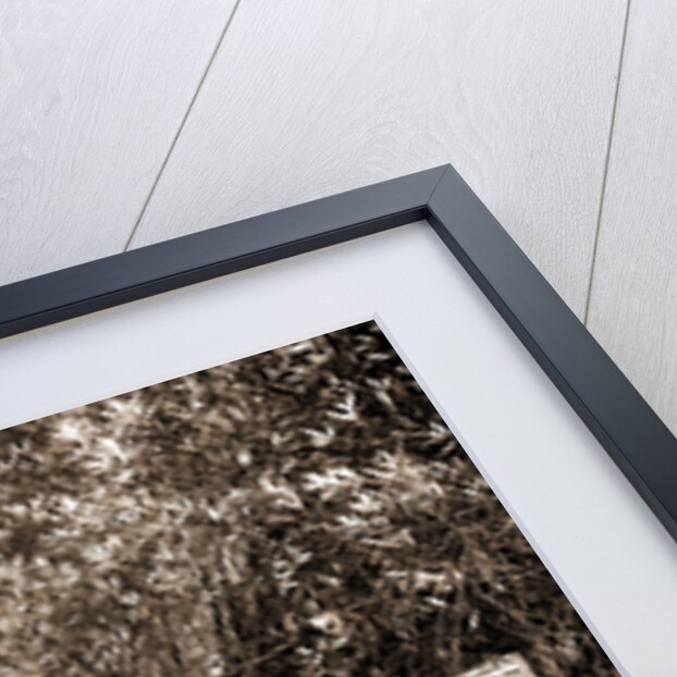 Lake Orion, Mich by Anonymous