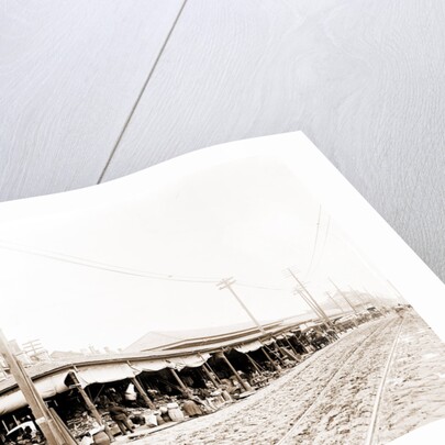 French Market, New Orleans by Anonymous