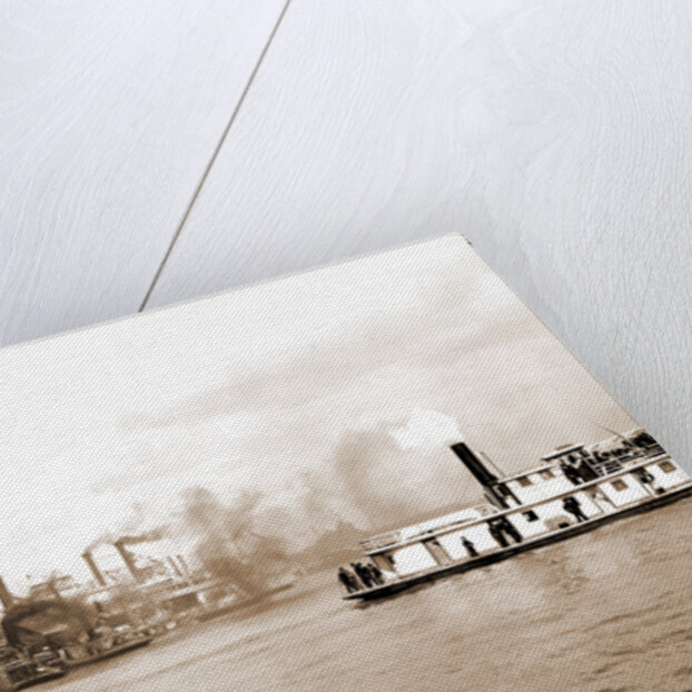 Steamboats along the levee, New Orleans by Anonymous