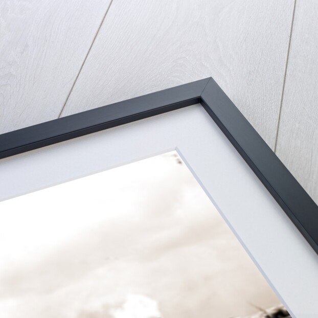 Steamboats along the levee, New Orleans by Anonymous