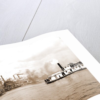 Steamboats along the levee, New Orleans by Anonymous