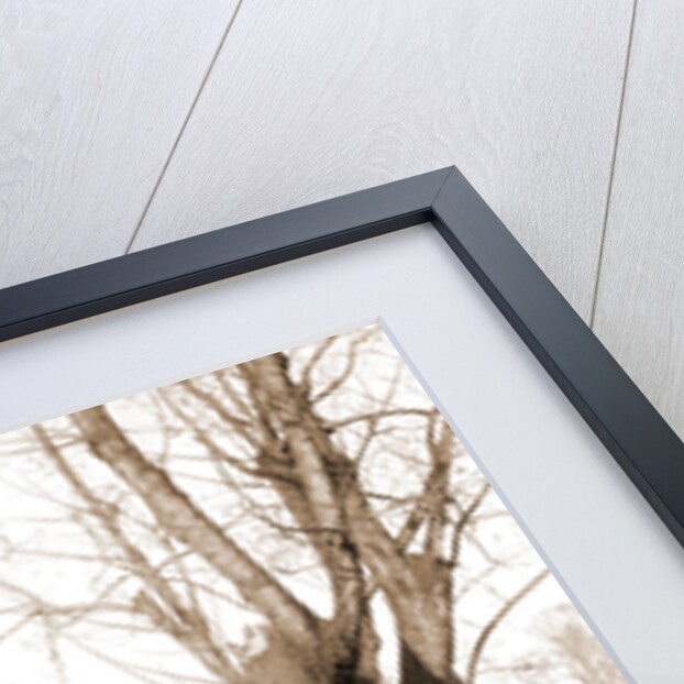 Jackson barracks, Chalmette by Anonymous