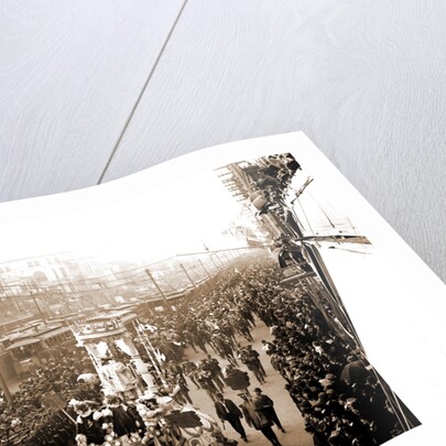 Mardi Gras procession on Canal St, New Orleans by Anonymous
