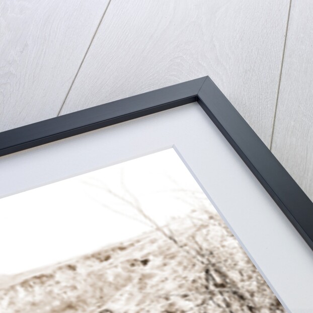 Devil's Backbone, Vicksburg by Anonymous